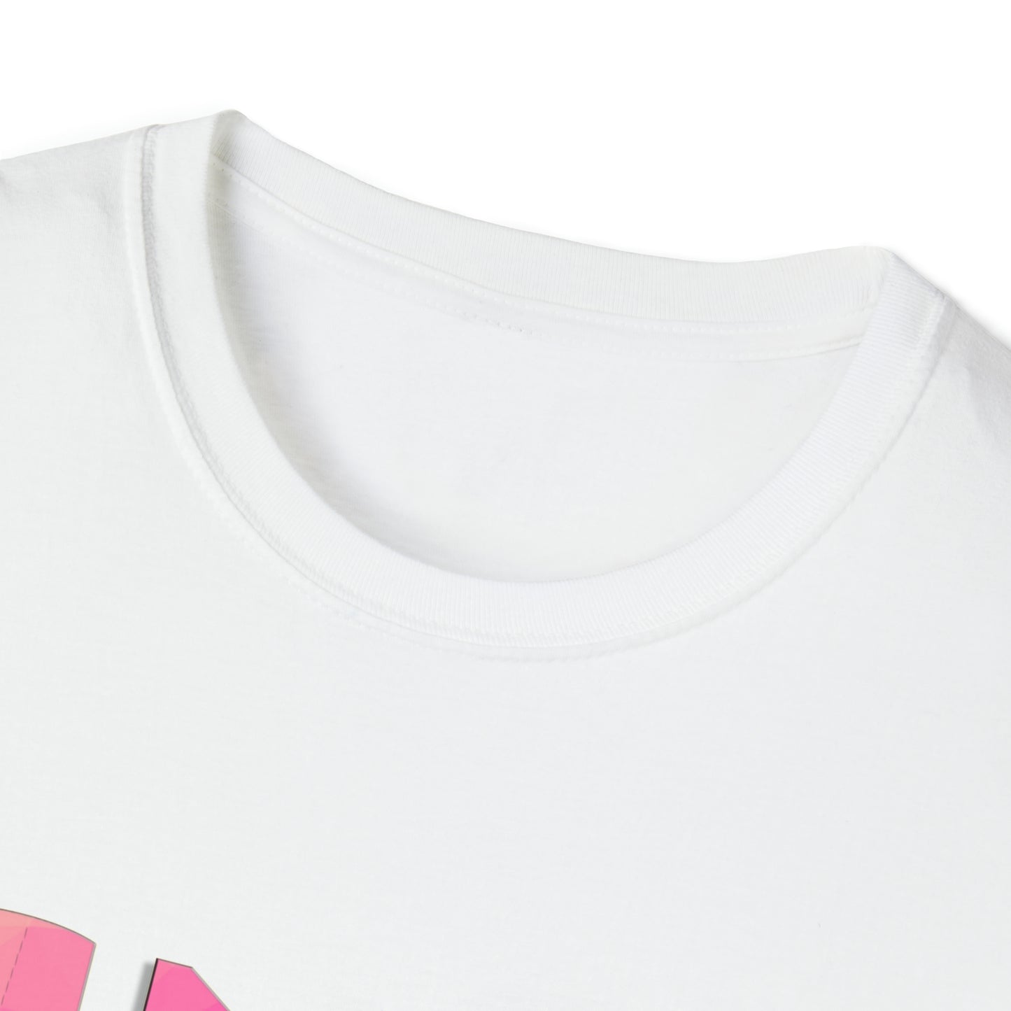 Hospice Nurse Practitioner, Nurse Practitioner Gift, Nurse Practitioner Preceptor Gift, Unisex Softstyle T-Shirt