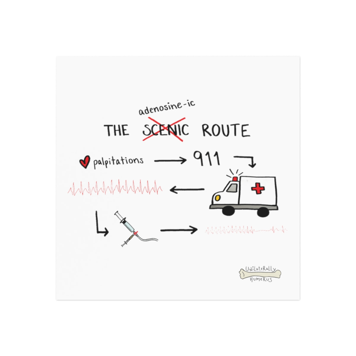 The Adenosine-ic Route Square Magnet