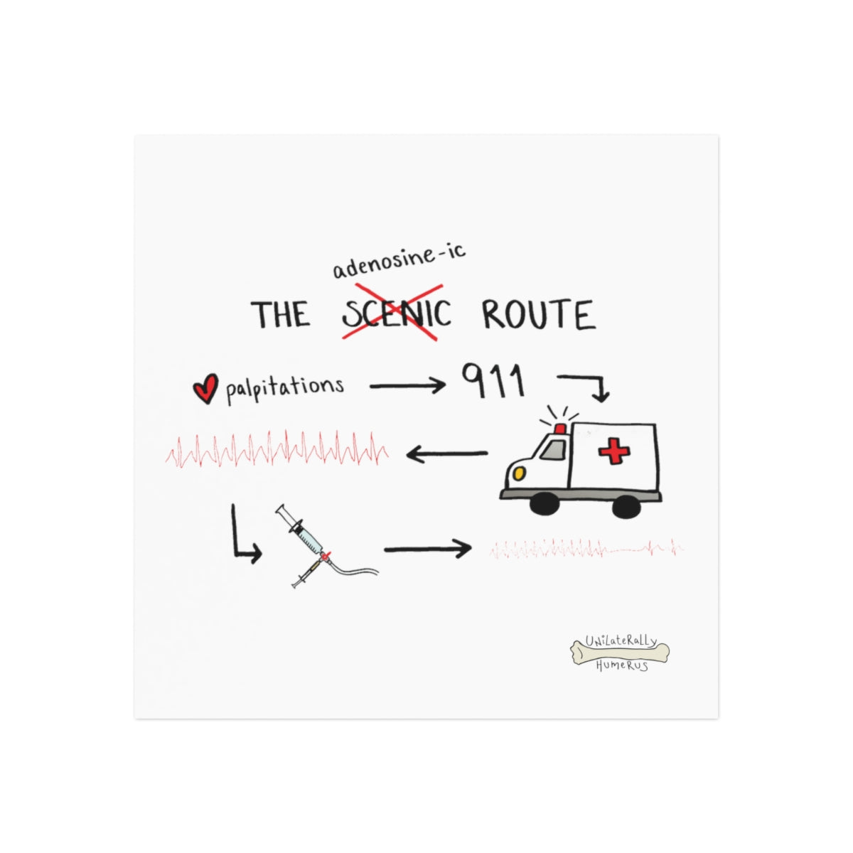 The Adenosine-ic Route Square Magnet